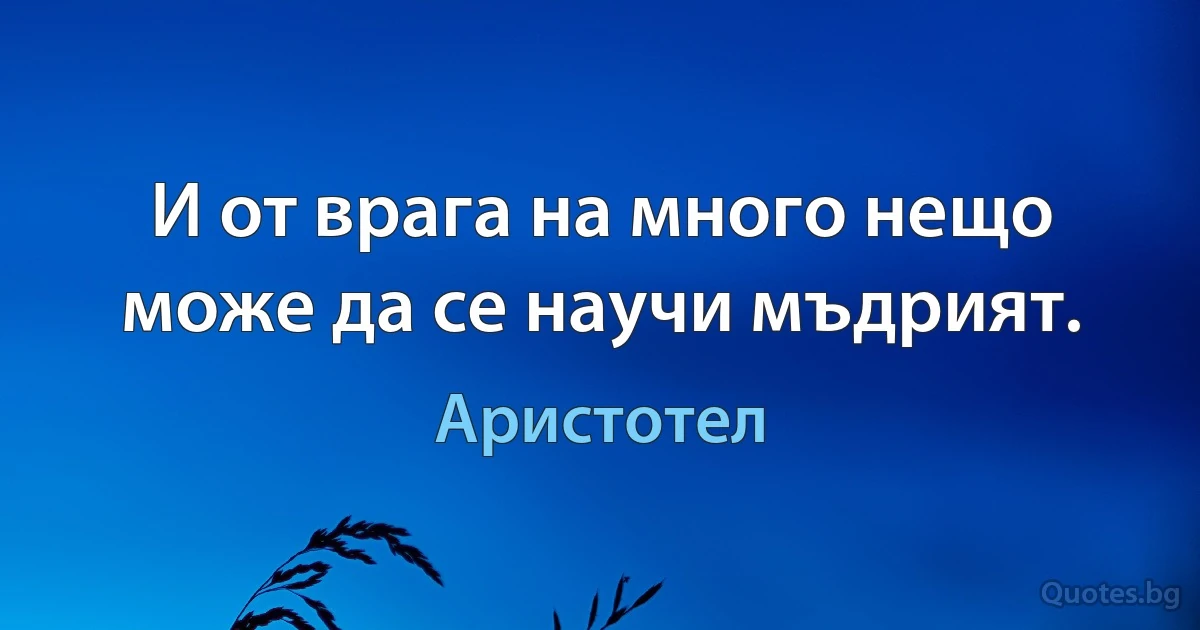 И от врага на много нещо може да се научи мъдрият. (Аристотел)