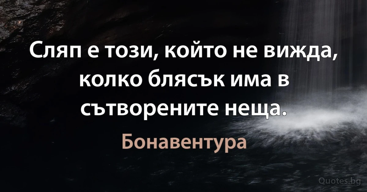 Сляп е този, който не вижда, колко блясък има в сътворените неща. (Бонавентура)