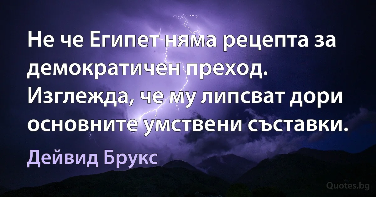 Не че Египет няма рецепта за демократичен преход. Изглежда, че му липсват дори основните умствени съставки. (Дейвид Брукс)