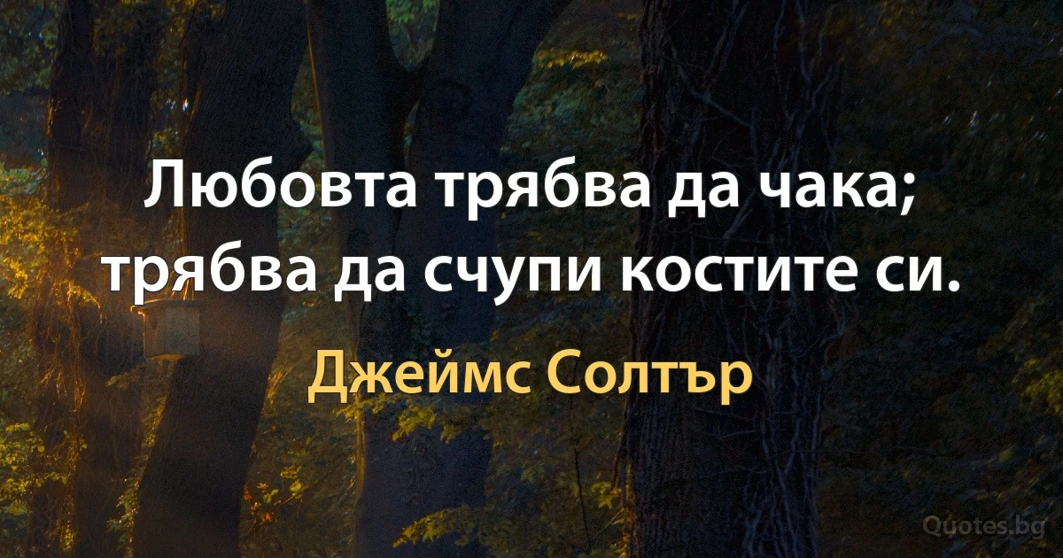 Любовта трябва да чака; трябва да счупи костите си. (Джеймс Солтър)