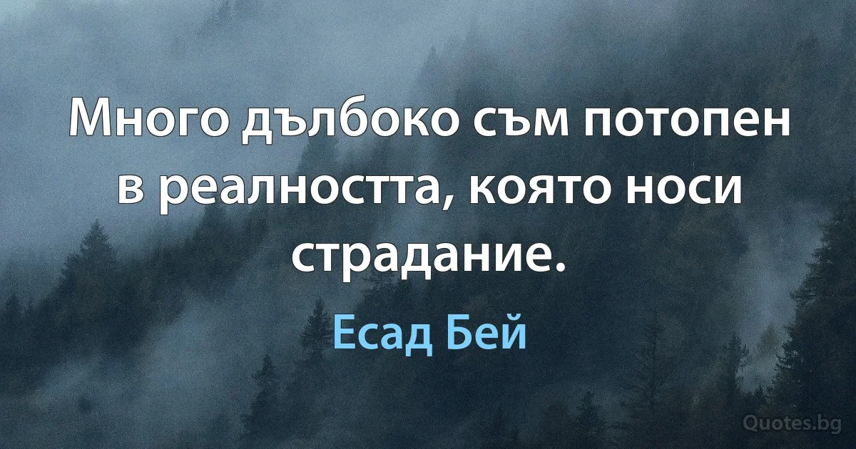 Много дълбоко съм потопен в реалността, която носи страдание. (Есад Бей)