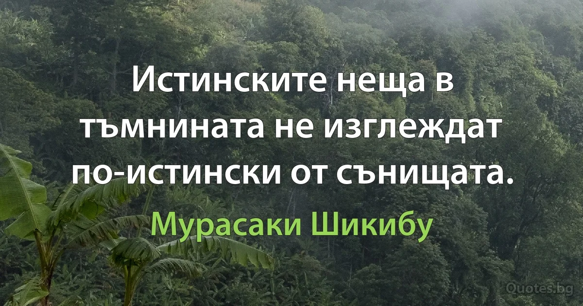 Истинските неща в тъмнината не изглеждат по-истински от сънищата. (Мурасаки Шикибу)