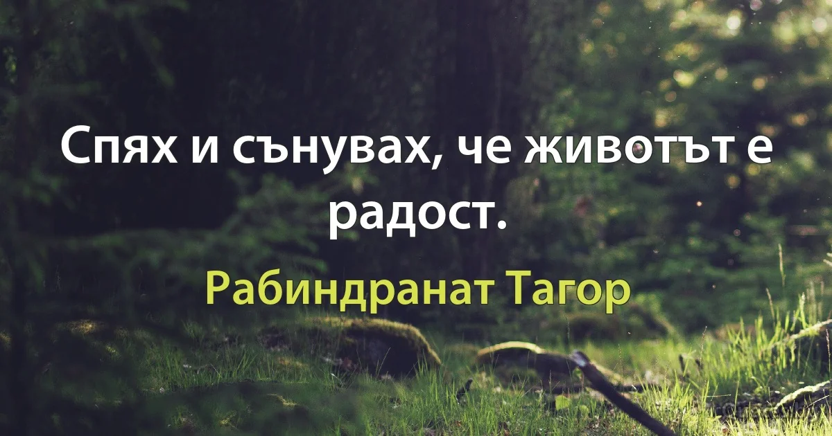 Спях и сънувах, че животът е радост. (Рабиндранат Тагор)