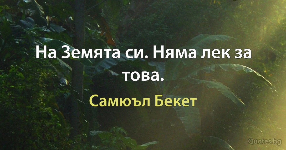 На Земята си. Няма лек за това. (Самюъл Бекет)