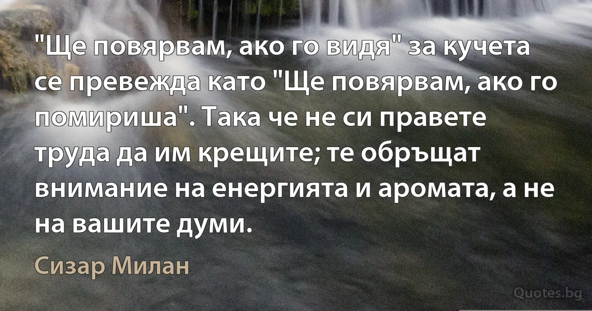 "Ще повярвам, ако го видя" за кучета се превежда като "Ще повярвам, ако го помириша". Така че не си правете труда да им крещите; те обръщат внимание на енергията и аромата, а не на вашите думи. (Сизар Милан)