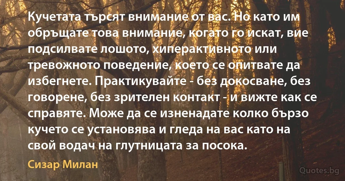 Кучетата търсят внимание от вас. Но като им обръщате това внимание, когато го искат, вие подсилвате лошото, хиперактивното или тревожното поведение, което се опитвате да избегнете. Практикувайте - без докосване, без говорене, без зрителен контакт - и вижте как се справяте. Може да се изненадате колко бързо кучето се установява и гледа на вас като на свой водач на глутницата за посока. (Сизар Милан)