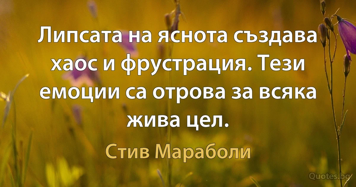 Липсата на яснота създава хаос и фрустрация. Тези емоции са отрова за всяка жива цел. (Стив Мараболи)