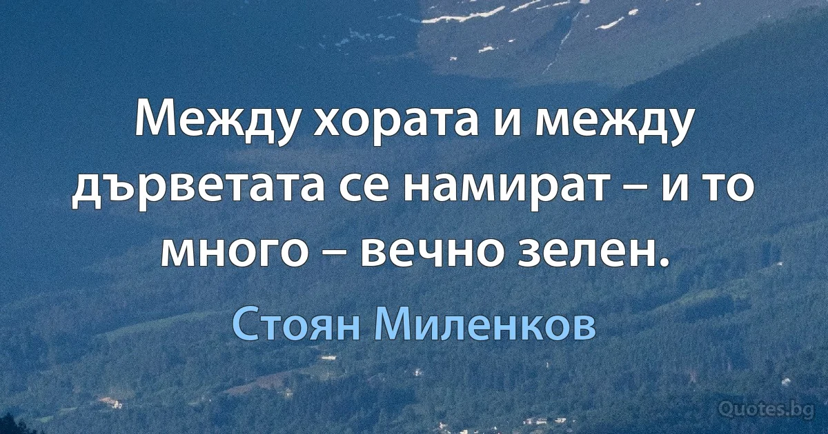 Между хората и между дърветата се намират – и то много – вечно зелен. (Стоян Миленков)