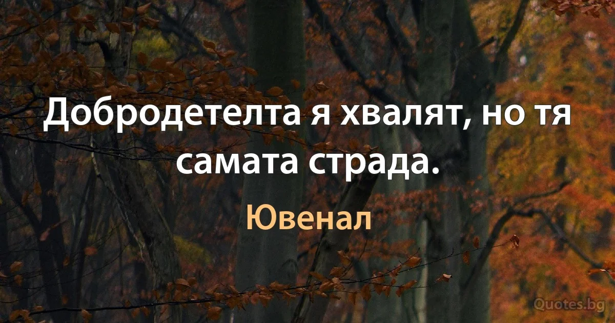 Добродетелта я хвалят, но тя самата страда. (Ювенал)