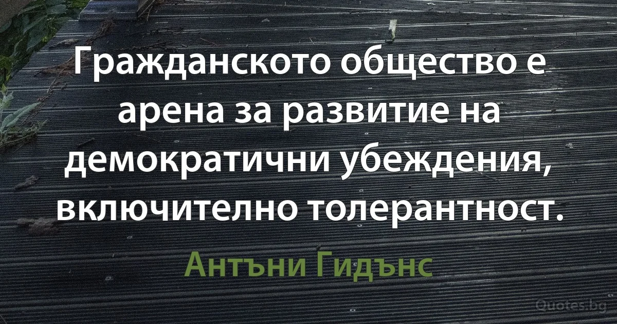 Гражданското общество е арена за развитие на демократични убеждения, включително толерантност. (Антъни Гидънс)