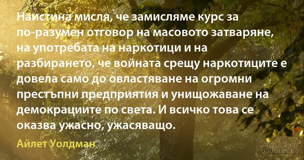 Наистина мисля, че замисляме курс за по-разумен отговор на масовото затваряне, на употребата на наркотици и на разбирането, че войната срещу наркотиците е довела само до овластяване на огромни престъпни предприятия и унищожаване на демокрациите по света. И всичко това се оказва ужасно, ужасяващо. (Айлет Уолдман)