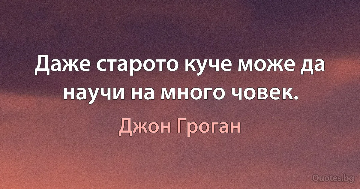 Даже старото куче може да научи на много човек. (Джон Гроган)