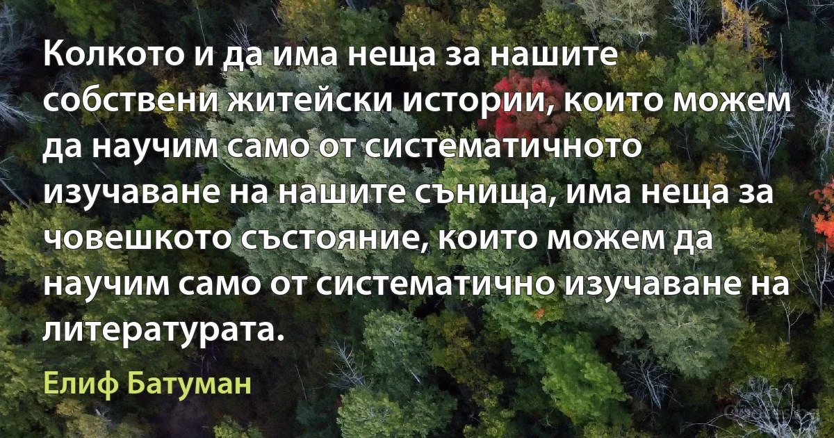 Колкото и да има неща за нашите собствени житейски истории, които можем да научим само от систематичното изучаване на нашите сънища, има неща за човешкото състояние, които можем да научим само от систематично изучаване на литературата. (Елиф Батуман)