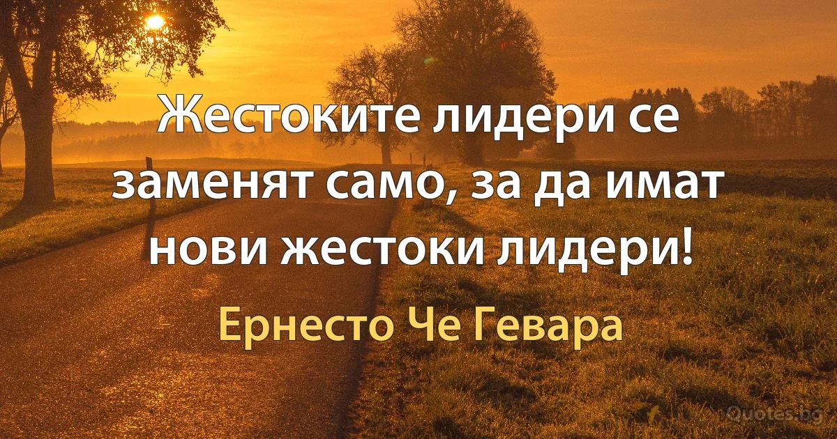 Жестоките лидери се заменят само, за да имат нови жестоки лидери! (Ернесто Че Гевара)