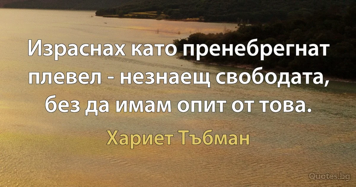 Израснах като пренебрегнат плевел - незнаещ свободата, без да имам опит от това. (Хариет Тъбман)