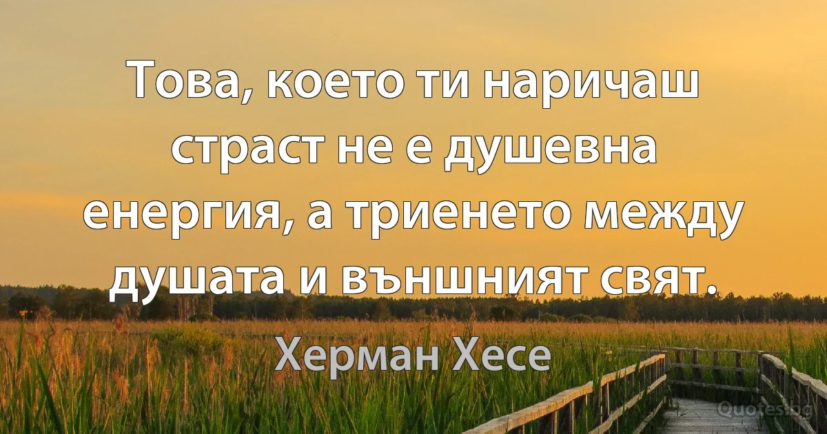 Това, което ти наричаш страст не е душевна енергия, а триенето между душата и външният свят. (Херман Хесе)