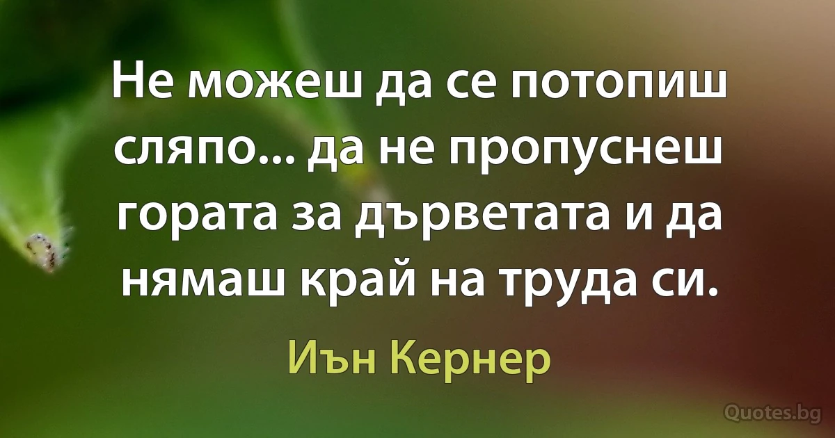 Не можеш да се потопиш сляпо... да не пропуснеш гората за дърветата и да нямаш край на труда си. (Иън Кернер)