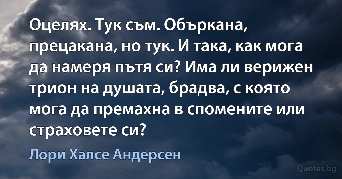 Оцелях. Тук съм. Объркана, прецакана, но тук. И така, как мога да намеря пътя си? Има ли верижен трион на душата, брадва, с която мога да премахна в спомените или страховете си? (Лори Халсе Андерсен)