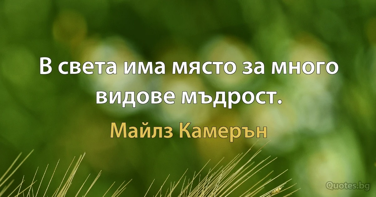 В света има място за много видове мъдрост. (Майлз Камерън)