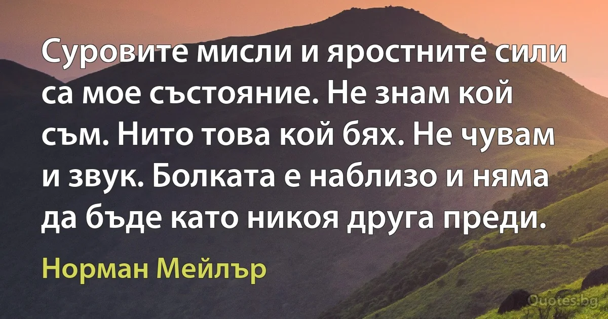 Суровите мисли и яростните сили са мое състояние. Не знам кой съм. Нито това кой бях. Не чувам и звук. Болката е наблизо и няма да бъде като никоя друга преди. (Норман Мейлър)