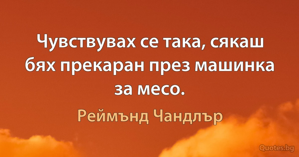 Чувствувах се така, сякаш бях прекаран през машинка за месо. (Реймънд Чандлър)