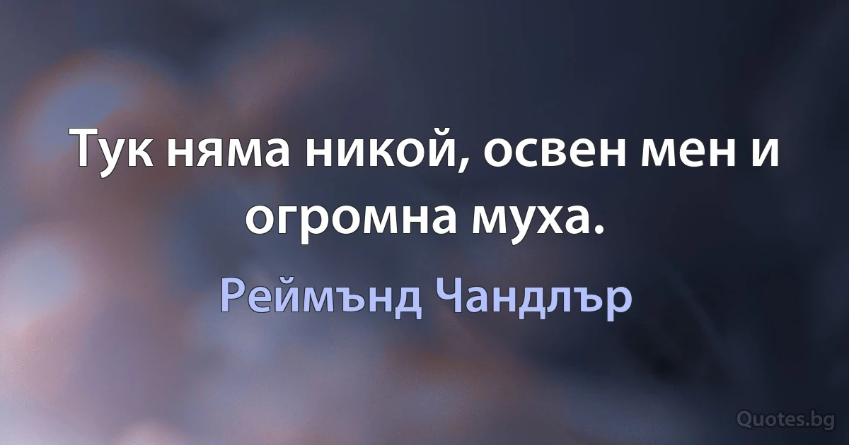 Тук няма никой, освен мен и огромна муха. (Реймънд Чандлър)