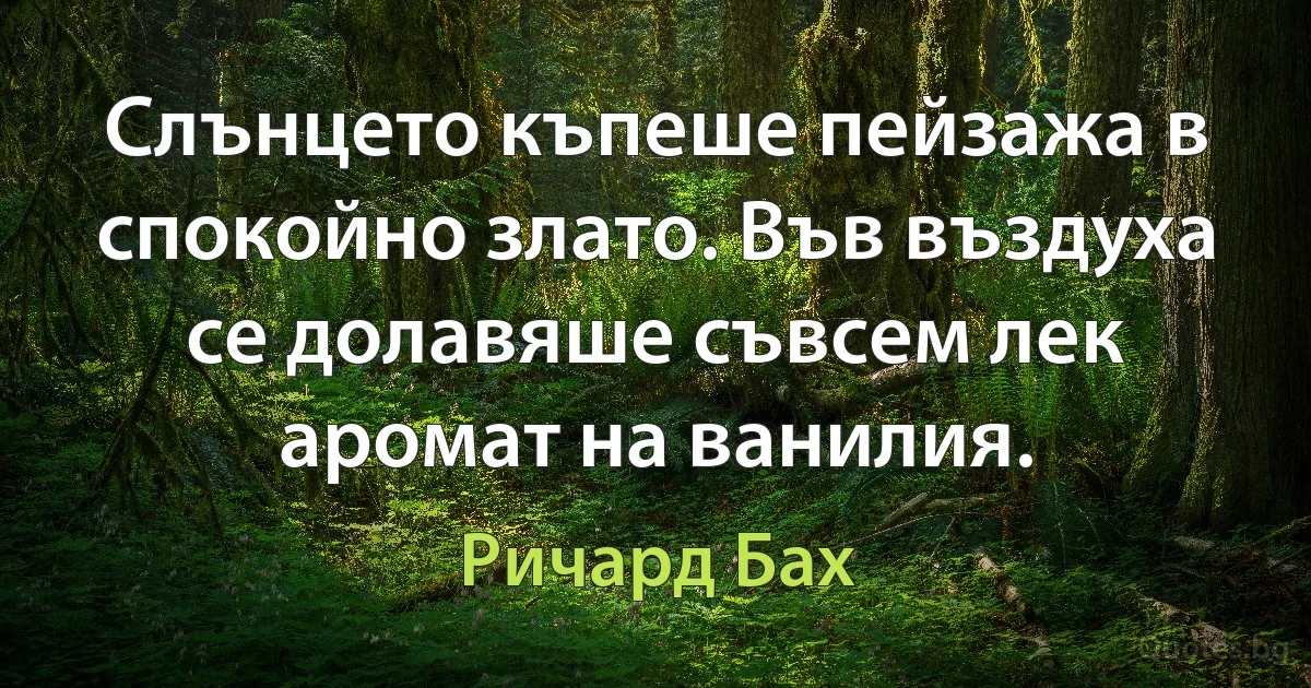 Слънцето къпеше пейзажа в спокойно злато. Във въздуха се долавяше съвсем лек аромат на ванилия. (Ричард Бах)