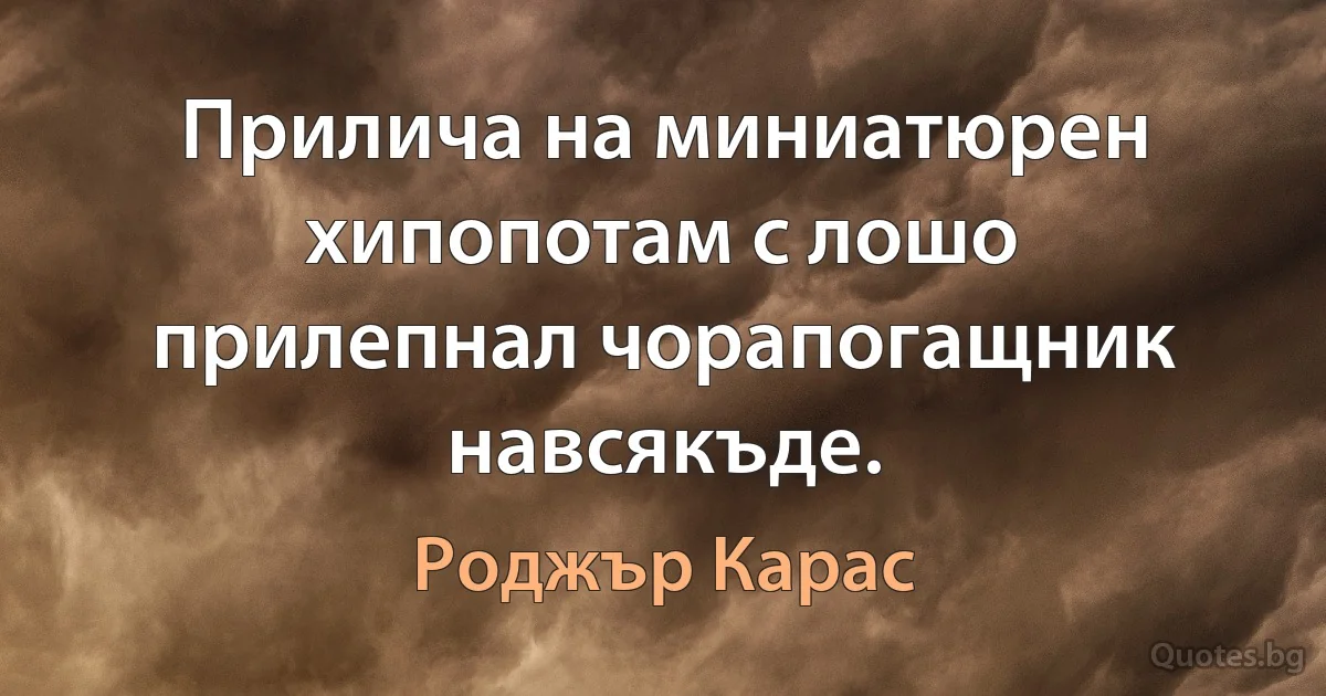 Прилича на миниатюрен хипопотам с лошо прилепнал чорапогащник навсякъде. (Роджър Карас)