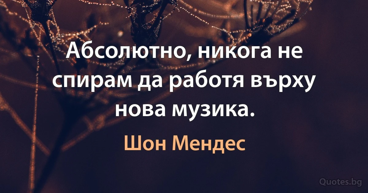 Абсолютно, никога не спирам да работя върху нова музика. (Шон Мендес)