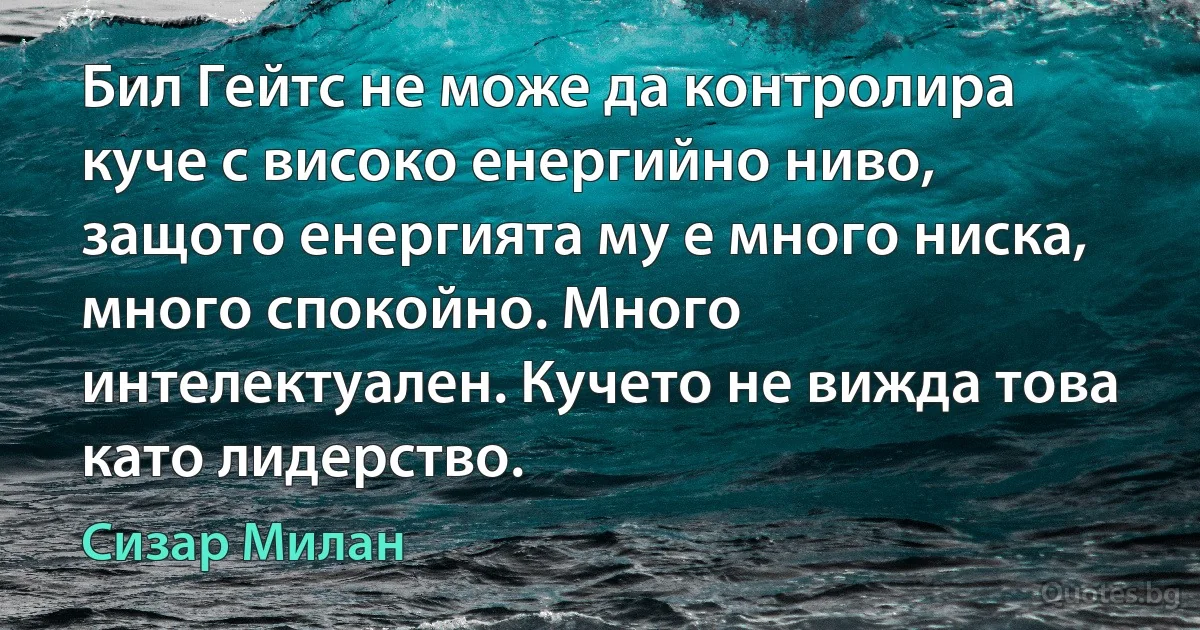 Бил Гейтс не може да контролира куче с високо енергийно ниво, защото енергията му е много ниска, много спокойно. Много интелектуален. Кучето не вижда това като лидерство. (Сизар Милан)