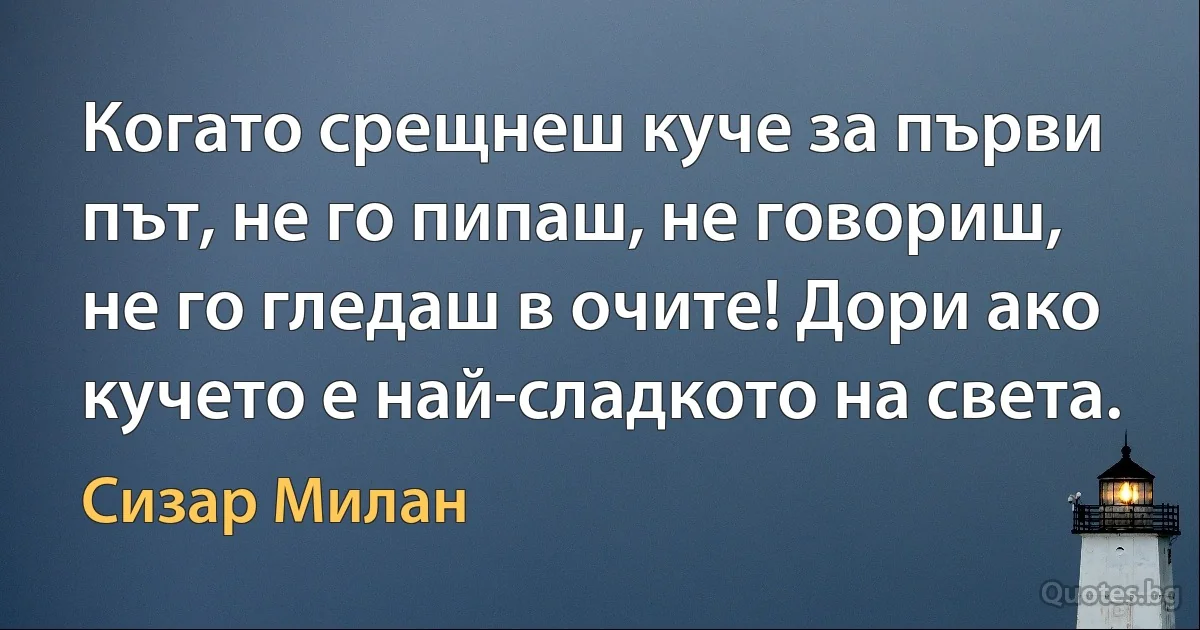 Когато срещнеш куче за първи път, не го пипаш, не говориш, не го гледаш в очите! Дори ако кучето е най-сладкото на света. (Сизар Милан)