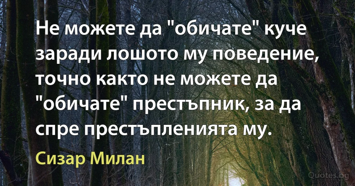 Не можете да "обичате" куче заради лошото му поведение, точно както не можете да "обичате" престъпник, за да спре престъпленията му. (Сизар Милан)