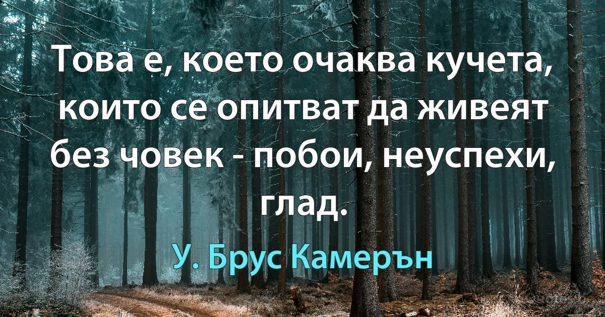 Това е, което очаква кучета, които се опитват да живеят без човек - побои, неуспехи, глад. (У. Брус Камерън)