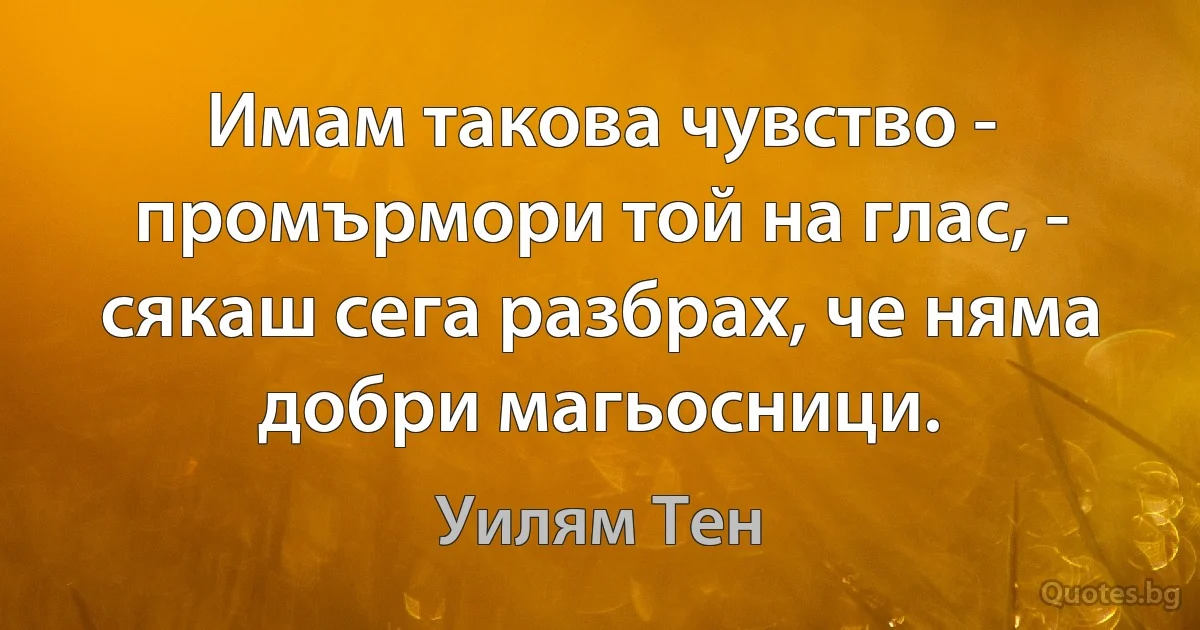 Имам такова чувство - промърмори той на глас, - сякаш сега разбрах, че няма добри магьосници. (Уилям Тен)