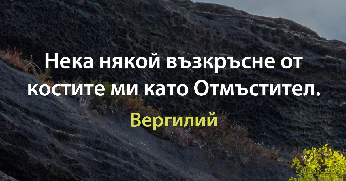 Нека някой възкръсне от костите ми като Отмъстител. (Вергилий)