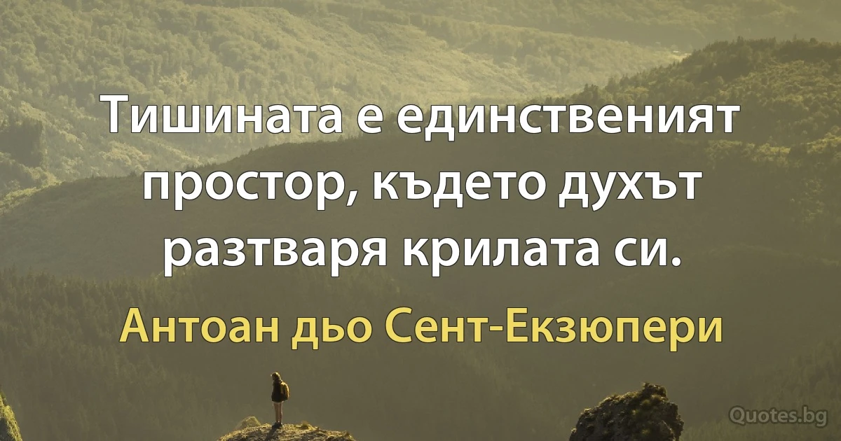 Тишината е единственият простор, където духът разтваря крилата си. (Антоан дьо Сент-Екзюпери)