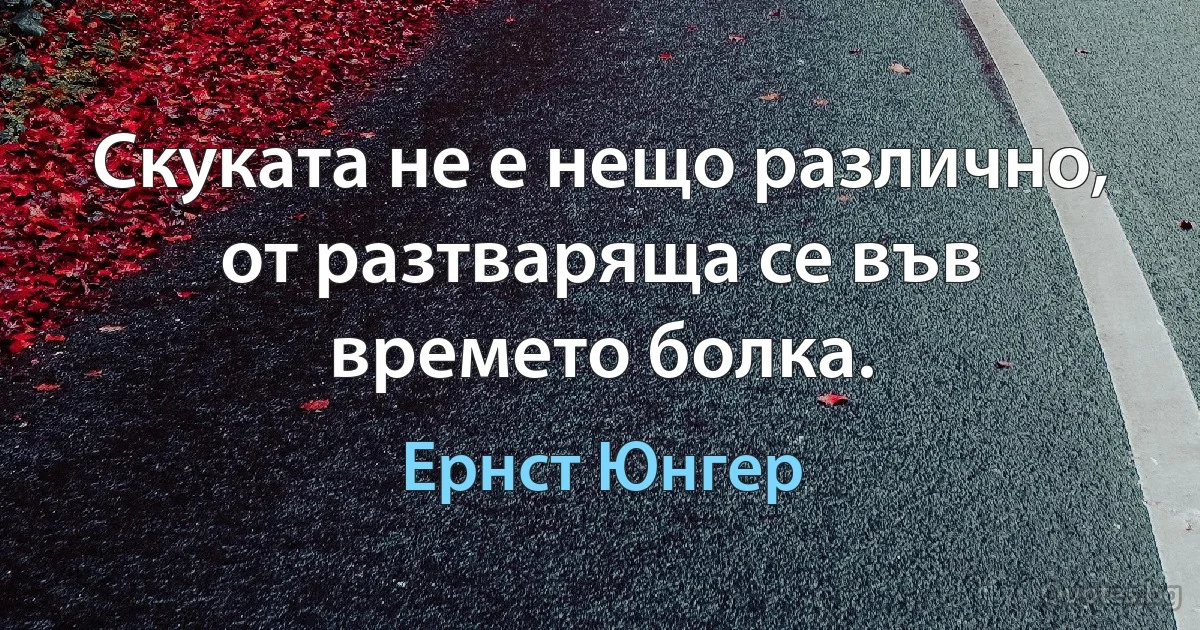 Скуката не е нещо различно, от разтваряща се във времето болка. (Ернст Юнгер)