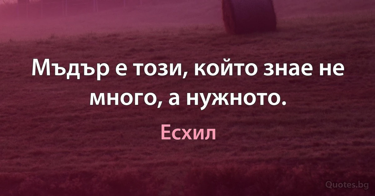 Мъдър е този, който знае не много, а нужното. (Есхил)