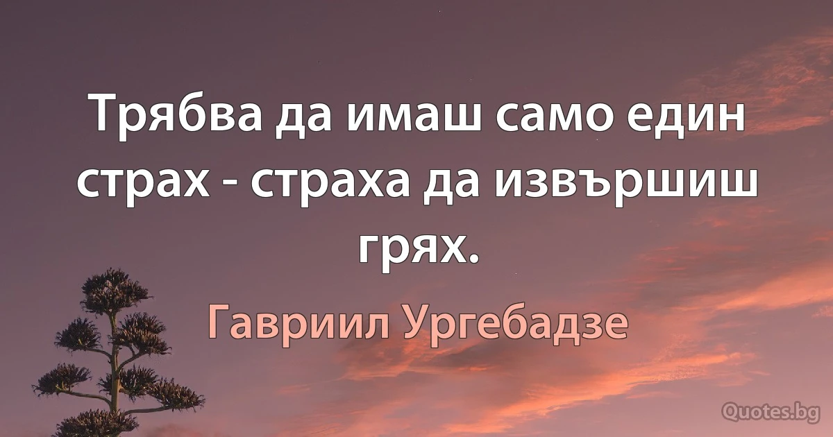 Трябва да имаш само един страх - страха да извършиш грях. (Гавриил Ургебадзе)