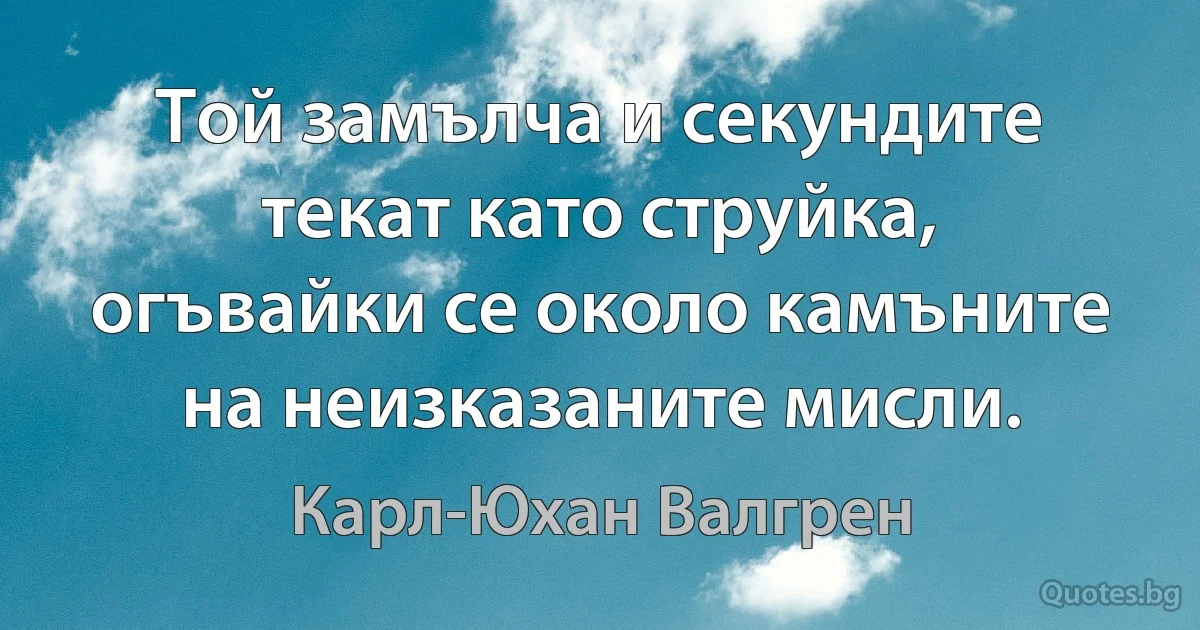 Той замълча и секундите текат като струйка, огъвайки се около камъните на неизказаните мисли. (Карл-Юхан Валгрен)