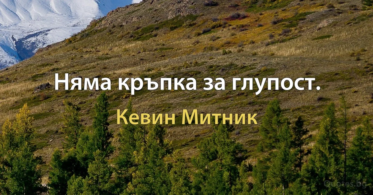 Няма кръпка за глупост. (Кевин Митник)