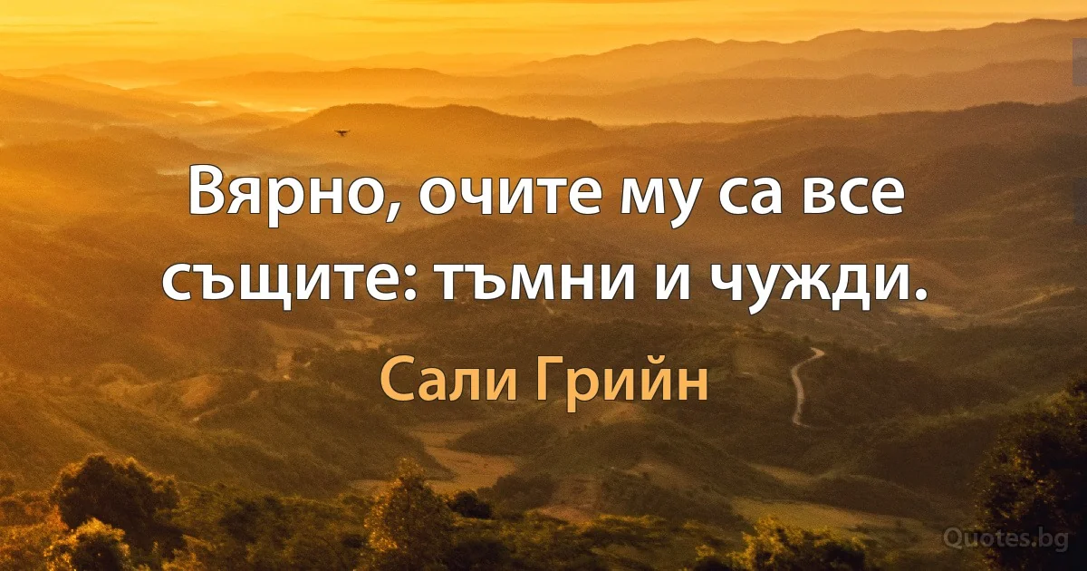 Вярно, очите му са все същите: тъмни и чужди. (Сали Грийн)