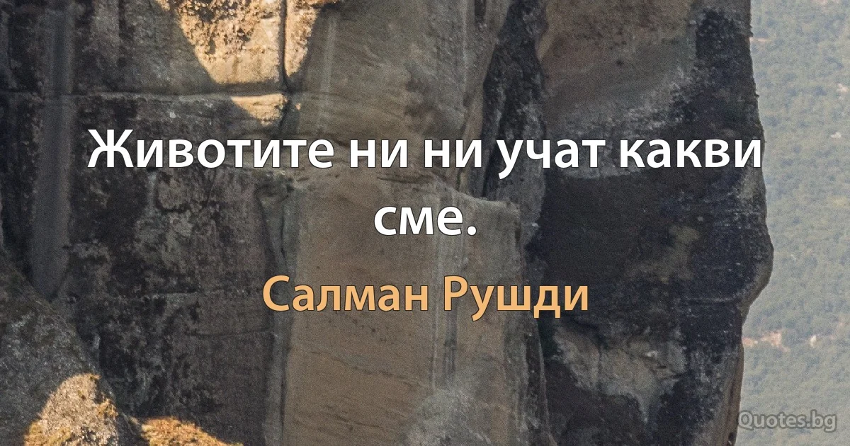 Животите ни ни учат какви сме. (Салман Рушди)