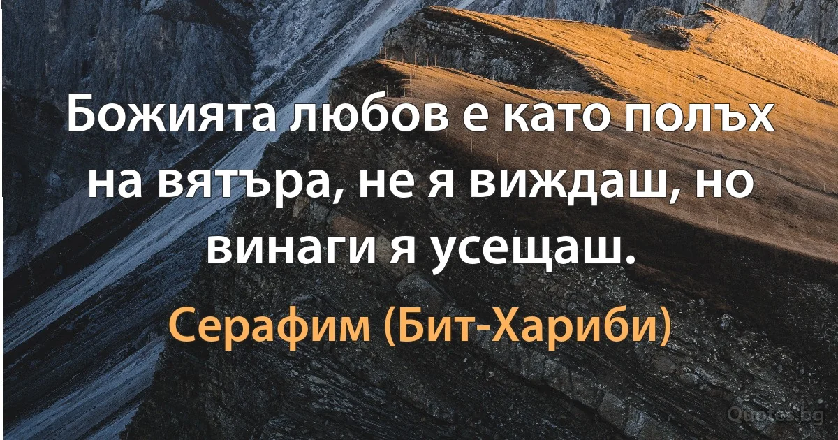 Божията любов е като полъх на вятъра, не я виждаш, но винаги я усещаш. (Серафим (Бит-Хариби))