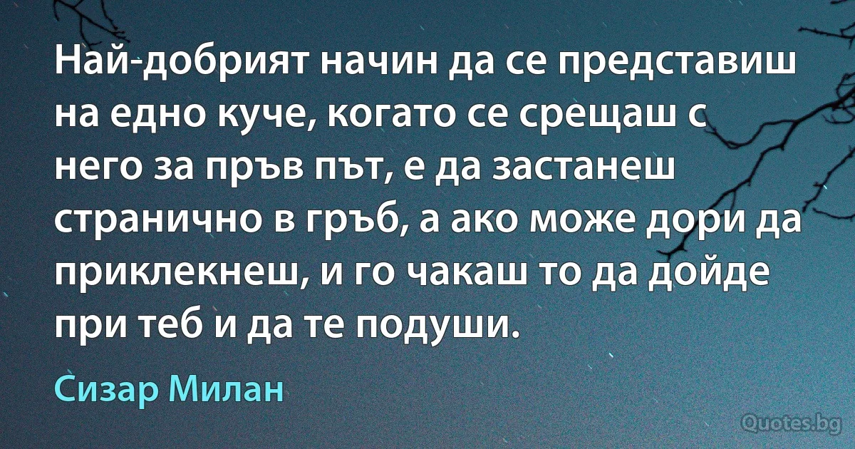 Най-добрият начин да се представиш на едно куче, когато се срещаш с него за пръв път, е да застанеш странично в гръб, а ако може дори да приклекнеш, и го чакаш то да дойде при теб и да те подуши. (Сизар Милан)