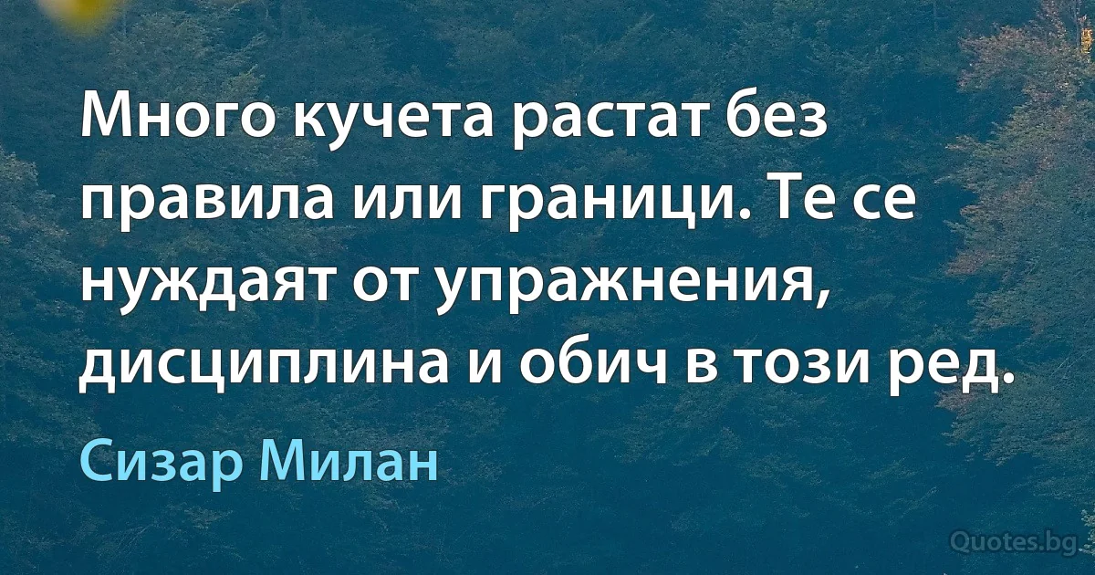 Много кучета растат без правила или граници. Те се нуждаят от упражнения, дисциплина и обич в този ред. (Сизар Милан)