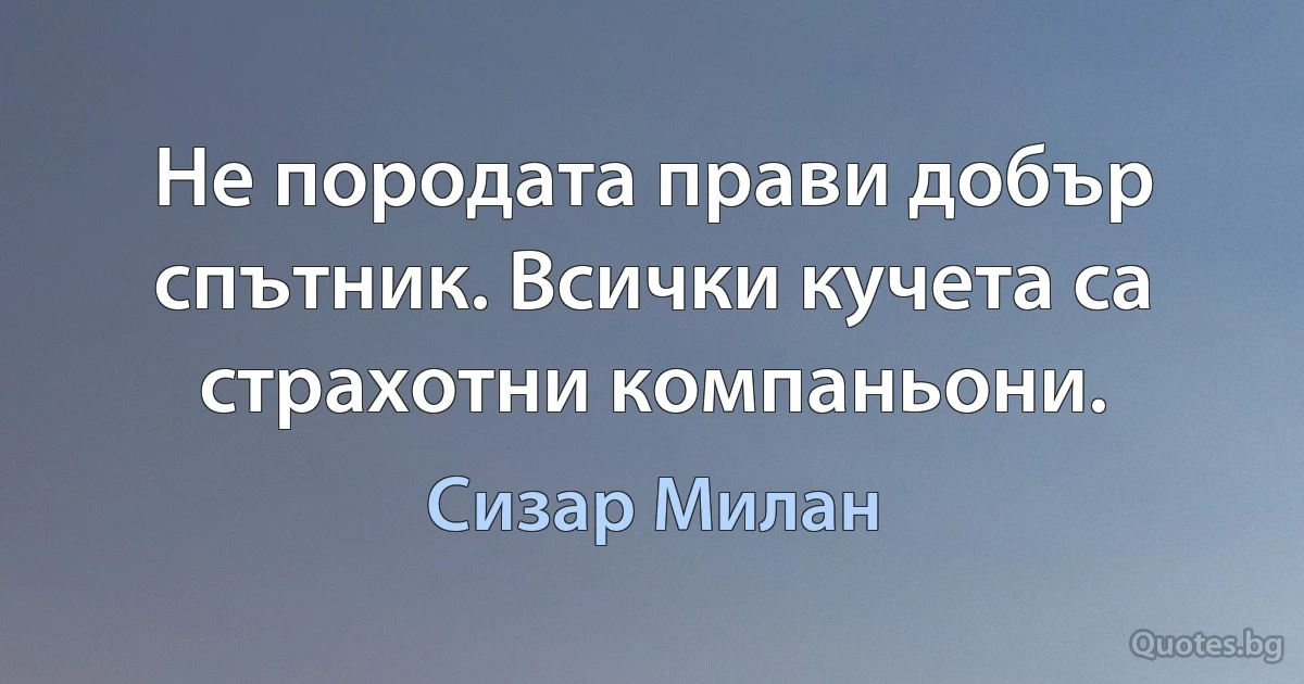 Не породата прави добър спътник. Всички кучета са страхотни компаньони. (Сизар Милан)