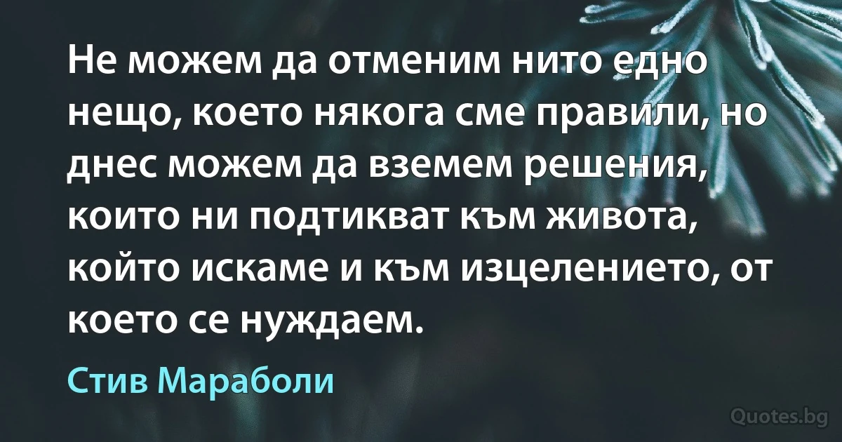 Не можем да отменим нито едно нещо, което някога сме правили, но днес можем да вземем решения, които ни подтикват към живота, който искаме и към изцелението, от което се нуждаем. (Стив Мараболи)