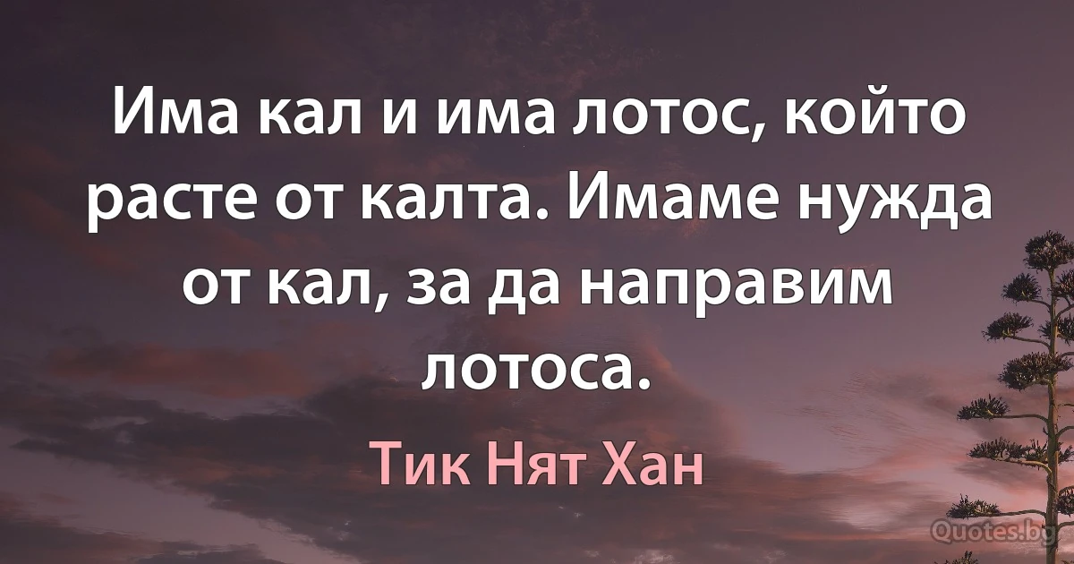 Има кал и има лотос, който расте от калта. Имаме нужда от кал, за да направим лотоса. (Тик Нят Хан)