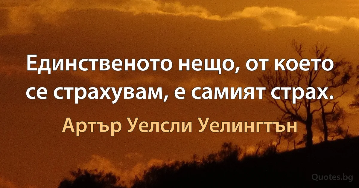 Единственото нещо, от което се страхувам, е самият страх. (Артър Уелсли Уелингтън)